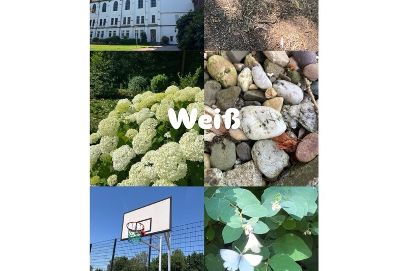 Farben_6