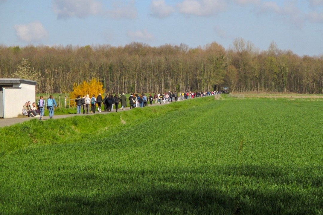 Soli_Lauf_09