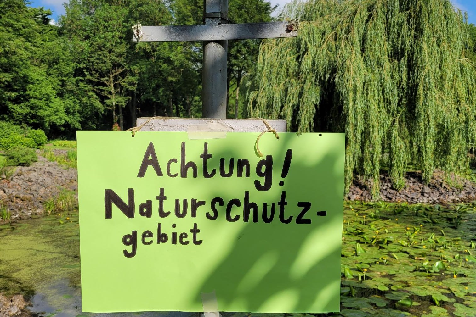 Tag des Buches