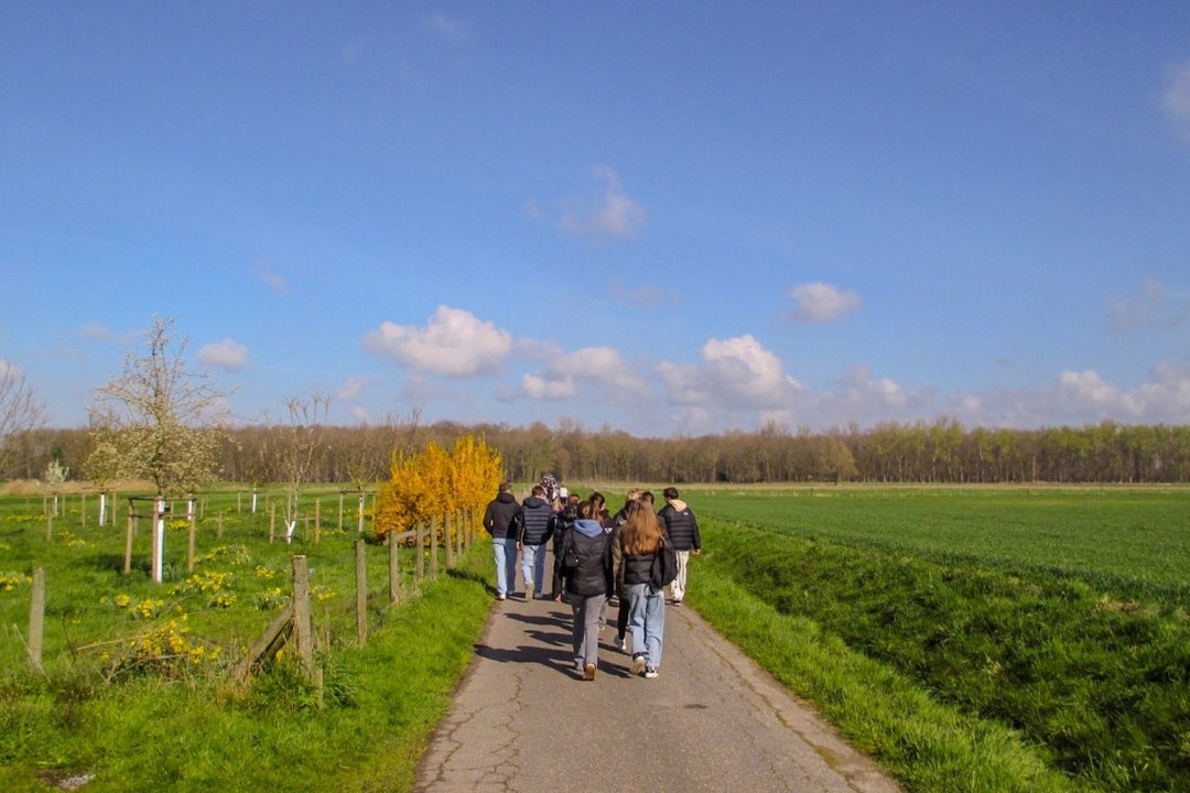 Soli_Lauf_01