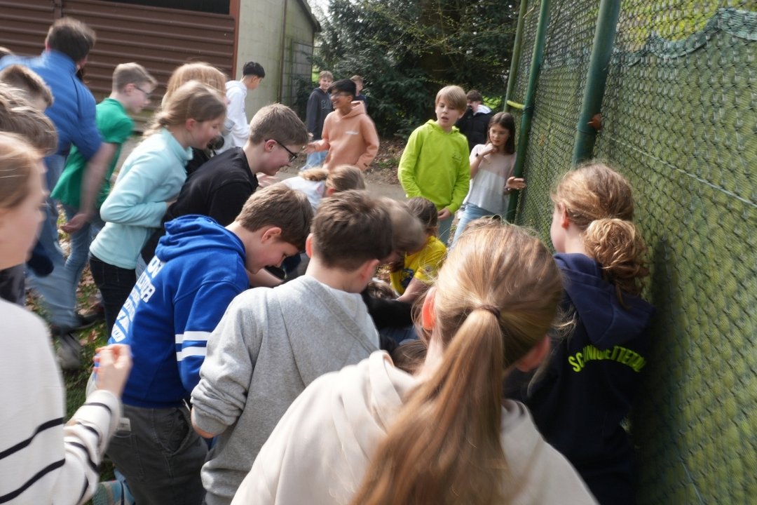 SV_Osteraktion_05